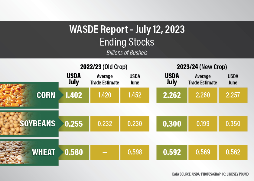 Here's What You Need To Know About USDA's July WASDE Report | The Scoop